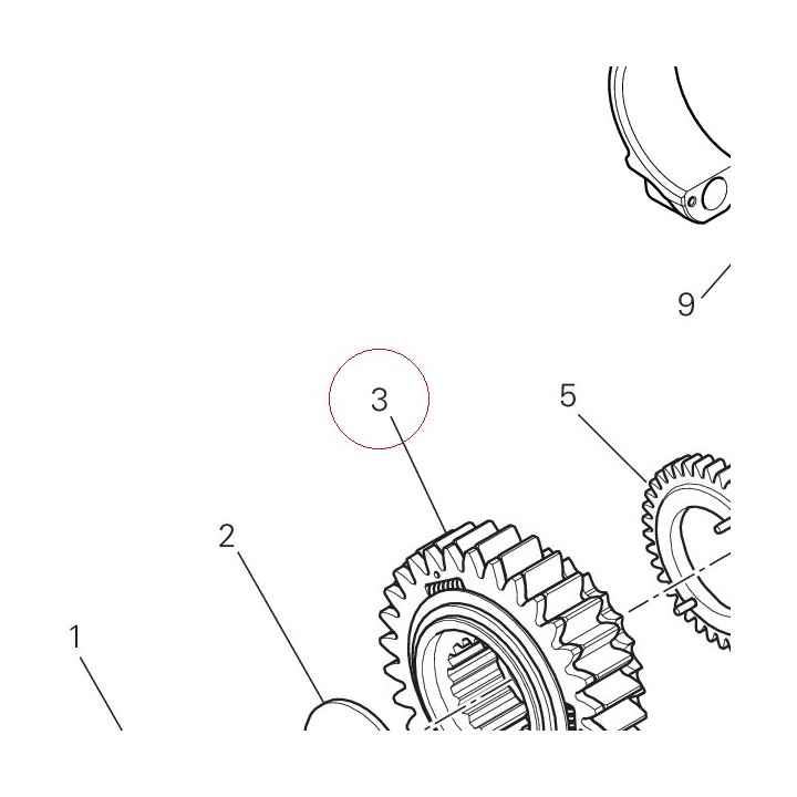 Primary drive front sprocket 17021321B