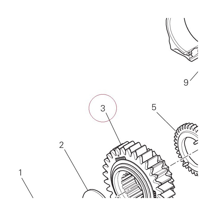 Primary drive front sprocket 17021322A