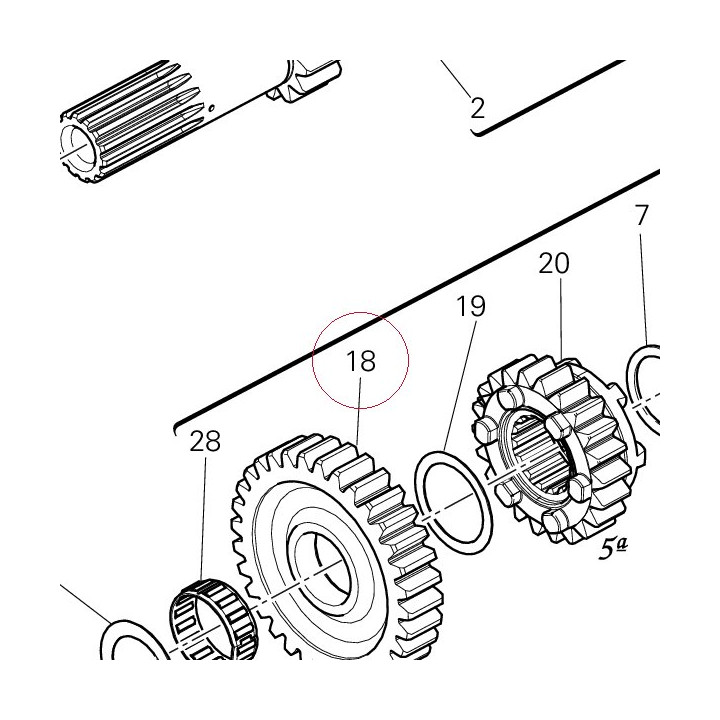 Driven gear 1ST speed 17212521A