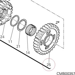 Driven gear 2ND sp. 17213221D