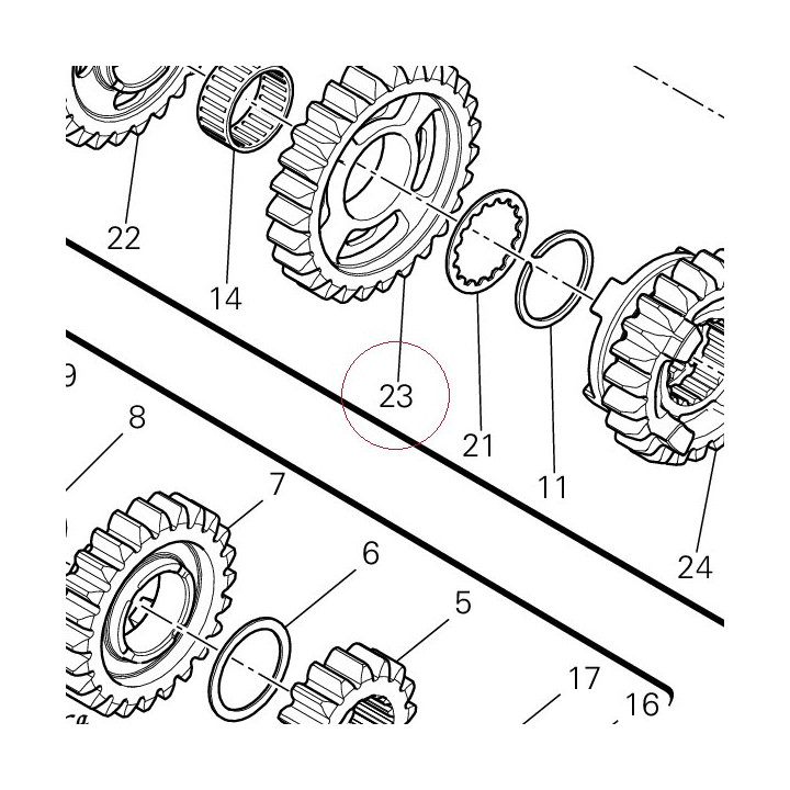 Driven gear 3RD sp. 17213231D