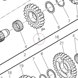 Gear, input 5TH, 24T 17217281A