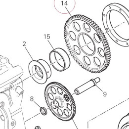 Driven gear 17310351A