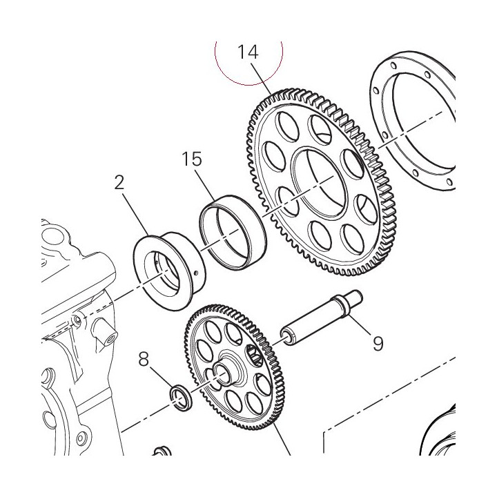 Driven gear 17310351A