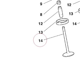 Intake valve 21010491A