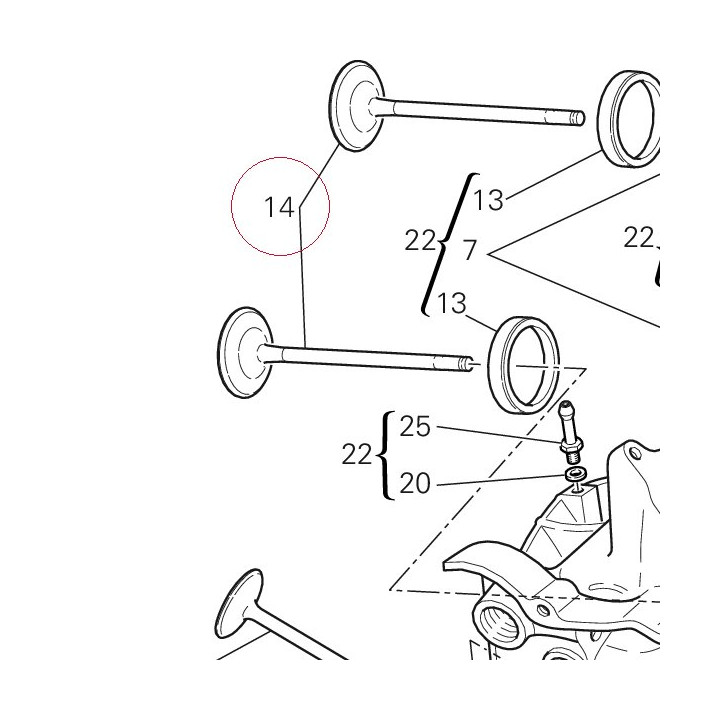 Intake valve 21010781A