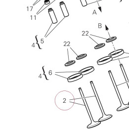 Intake valve 21011221D