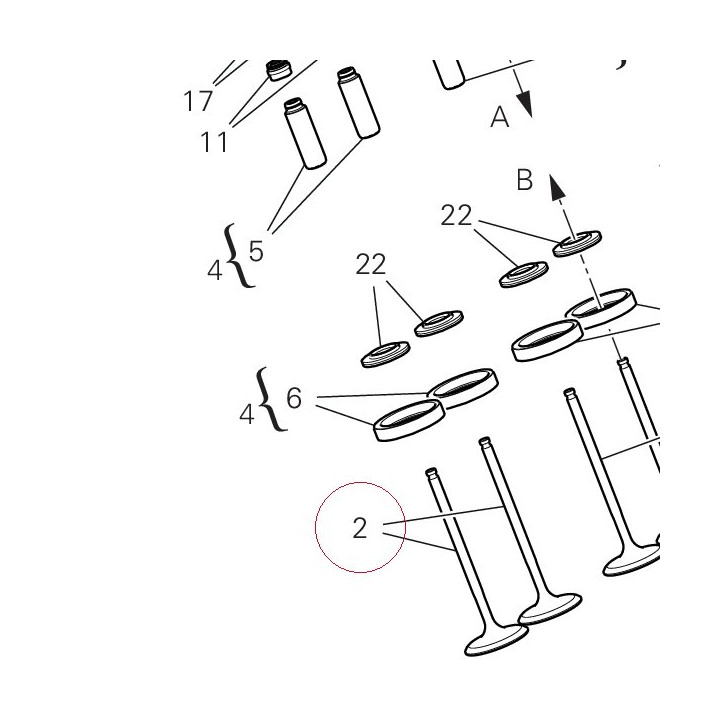 Intake valve 21011221D