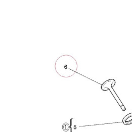 Exhaust valve 21110432B