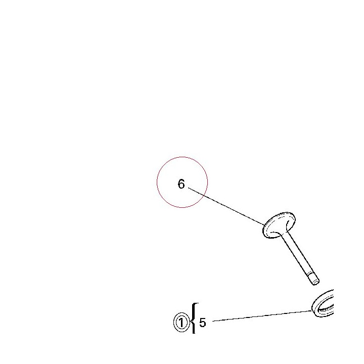 Exhaust valve 21110432B
