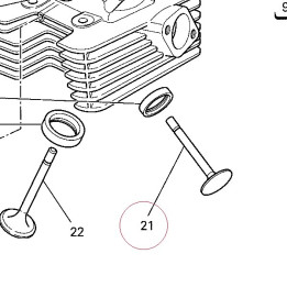 Exhaust valve 21110752B