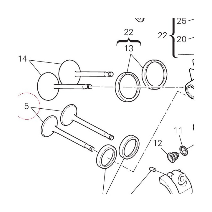 Exhaust valve 21110831B