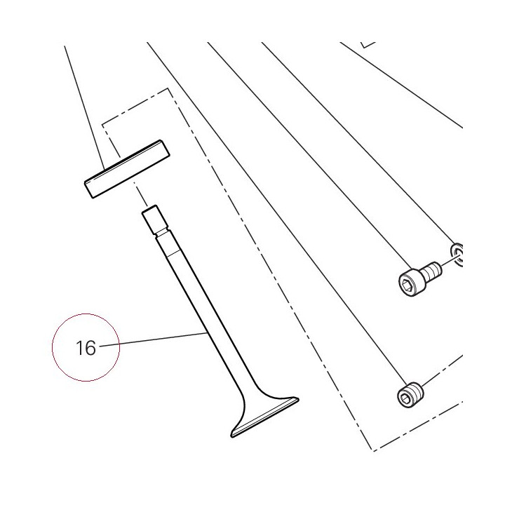 Exhaust valve 21110951A