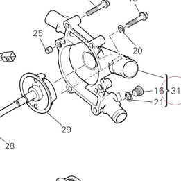 Water pump cover 24725241BH