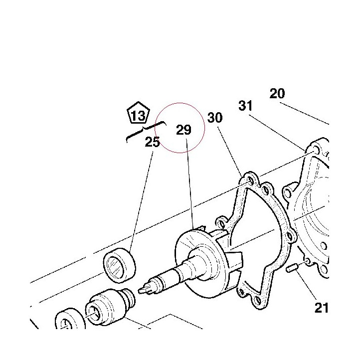 Water pump rotor 25120023B