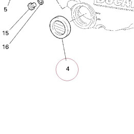 Window, oil level check 25440011A