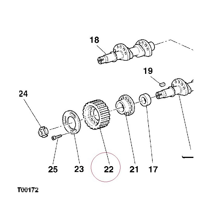 Pulley, timing 25510191A