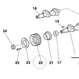 Pulley, timing 25510191B