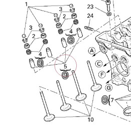 Guide exhaust valve 3TH 30310431AD