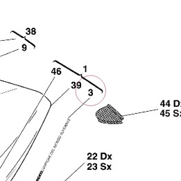 Graphic ducati campione del mondo 43610111C