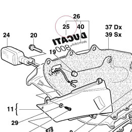 Graphic ducati 800 silver 43711231AA