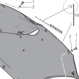 Decal 1199 panigale 43818101A