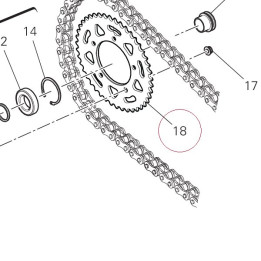 Rear sprocket T43 49411731AA