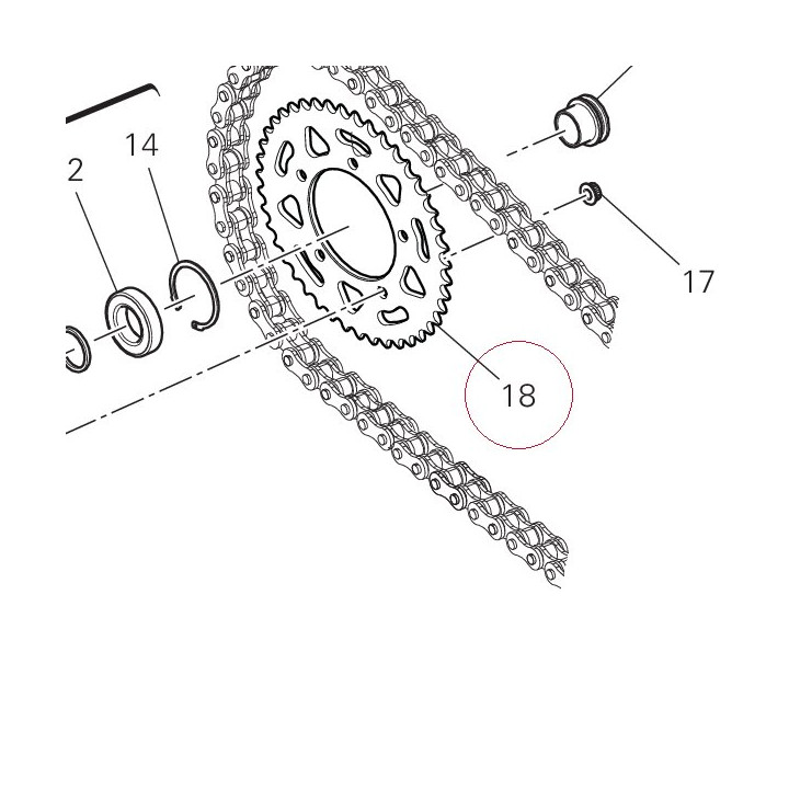 Rear sprocket T43 49411731AA