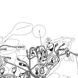 Electric wiring 51016691C