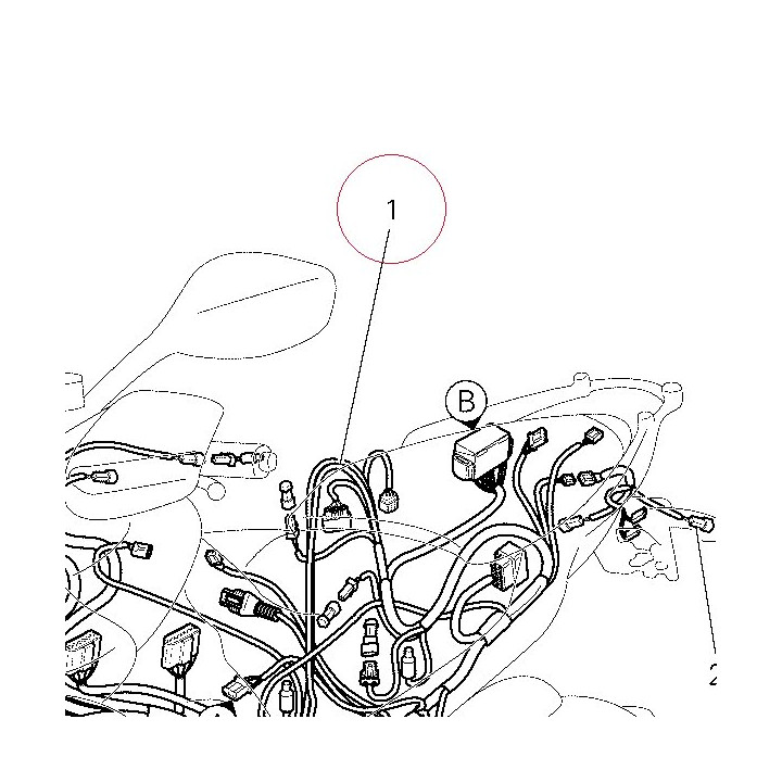 Electric wiring 51017231C