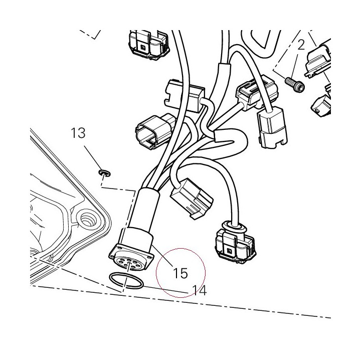 Injection wiring 51017731C
