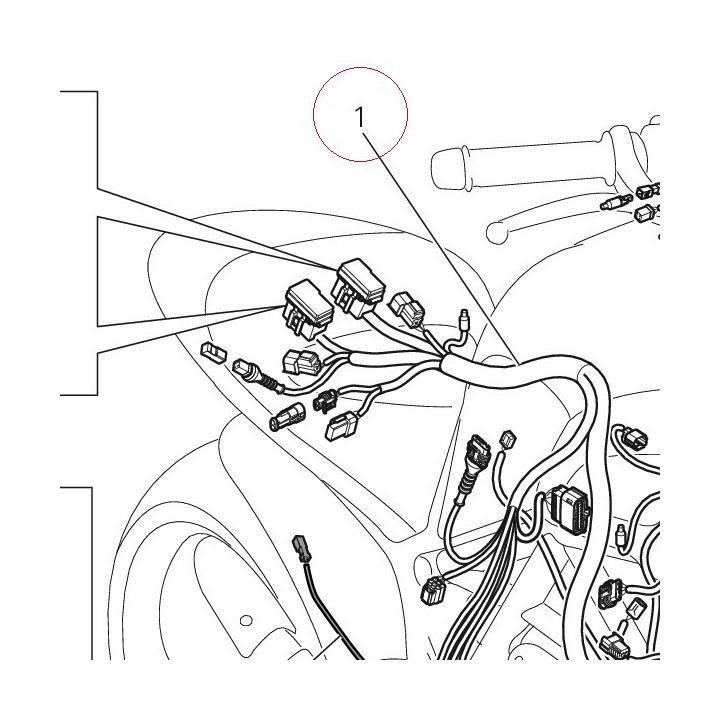 Main wiring harness 51019541D