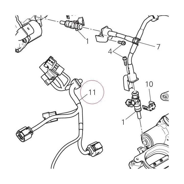 Injection wiring 51019961B