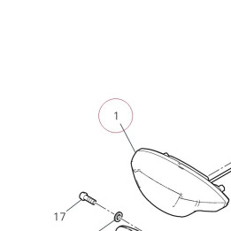 Taillight 52510761C
