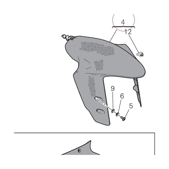 Front fender carbon 56420981B