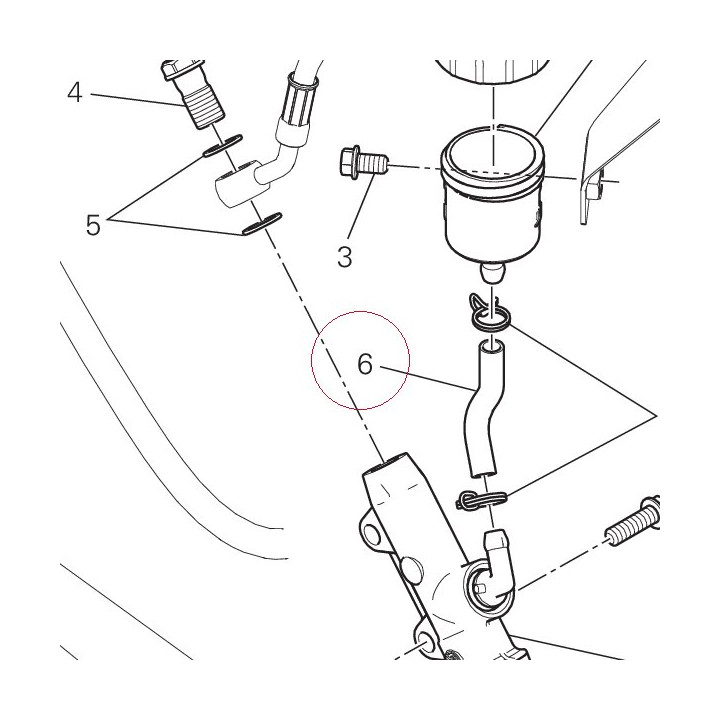Hose, oil 61910691A