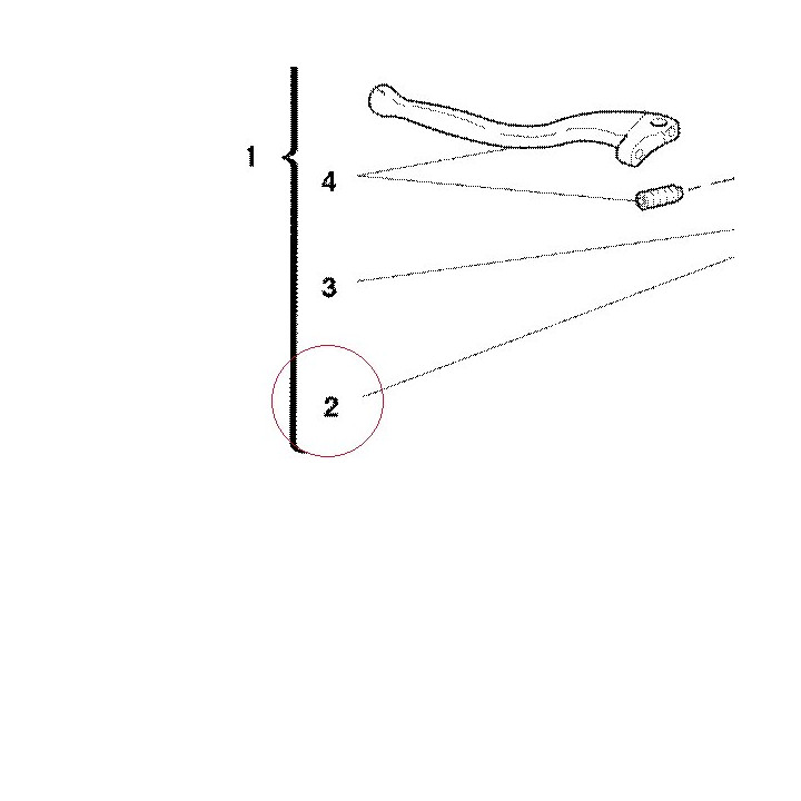 Window, oil level check 62640031A