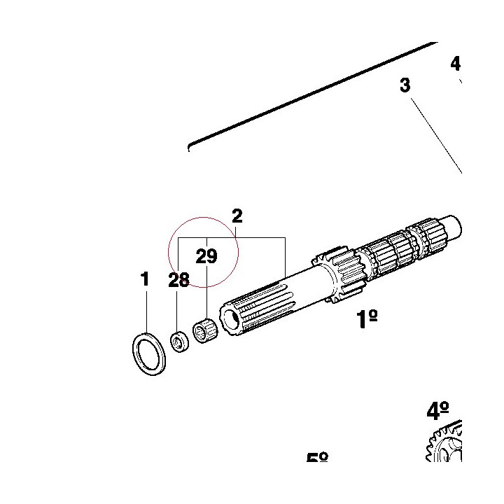 Needle bush HK0810 762700827