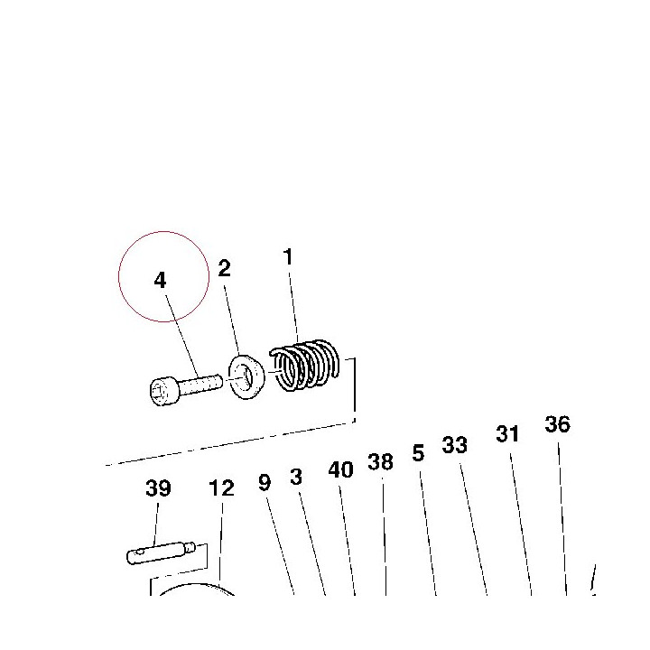 Screw 77150430C