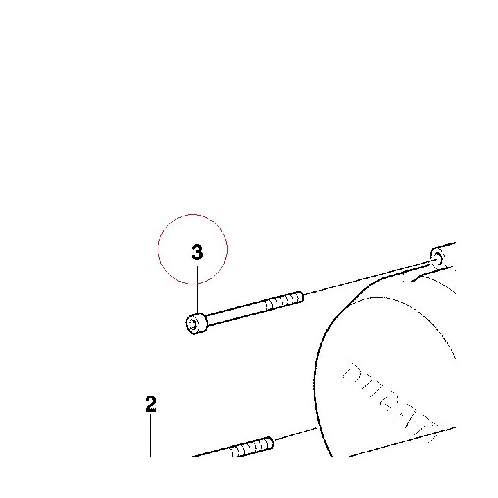 Screw M6X80 77150812B