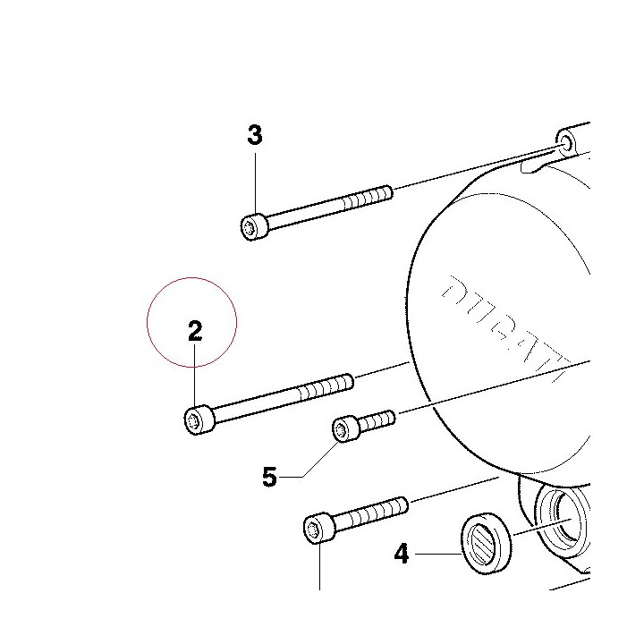 Screw 77150832B