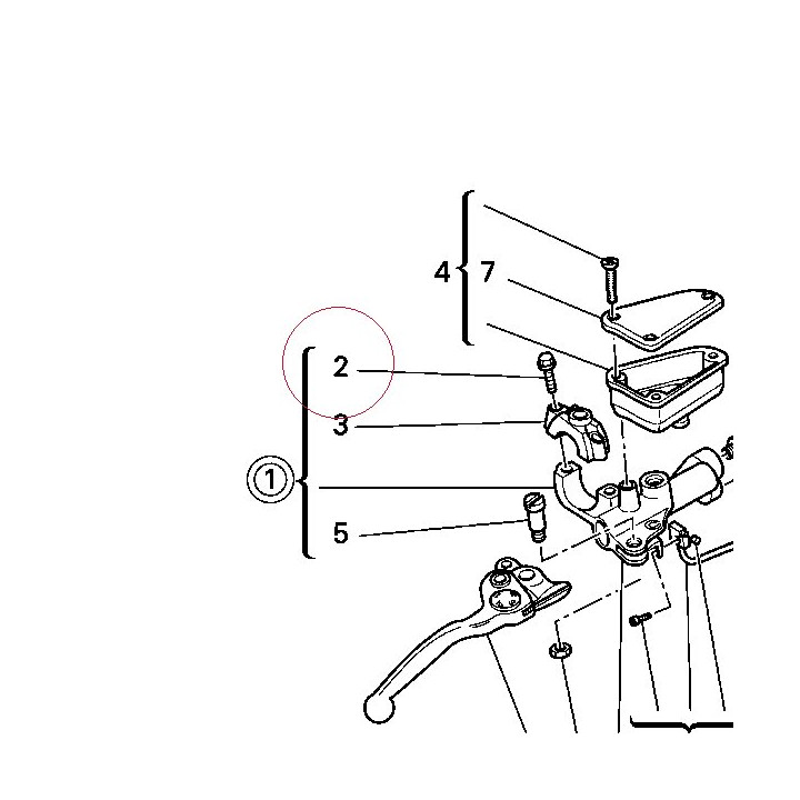 Screw M6X25 77156692B