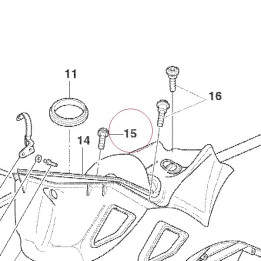 Screw, special 77210081A