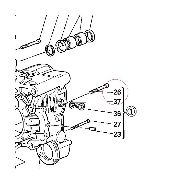 Screw, special tcei M8X75 77910292A