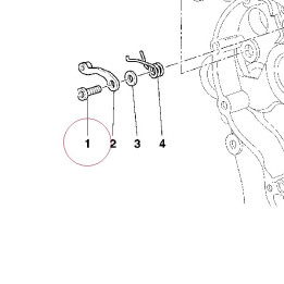 Special screw titanium 77910392B