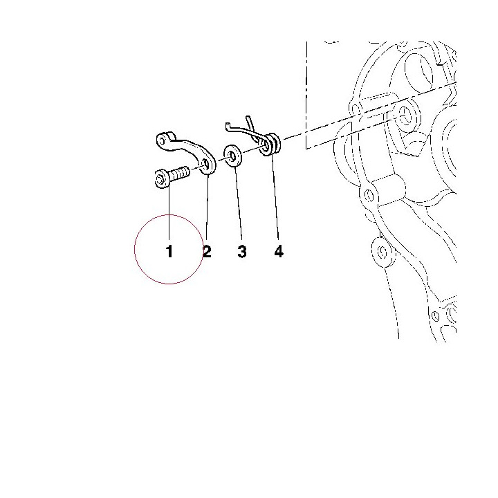 Special screw titanium 77910392B