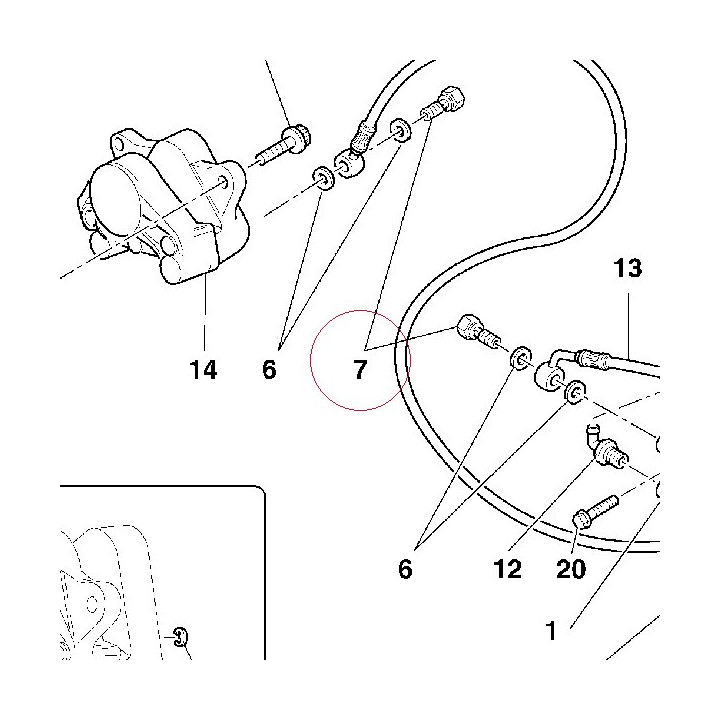 Bolt, brake hose 77910581AB