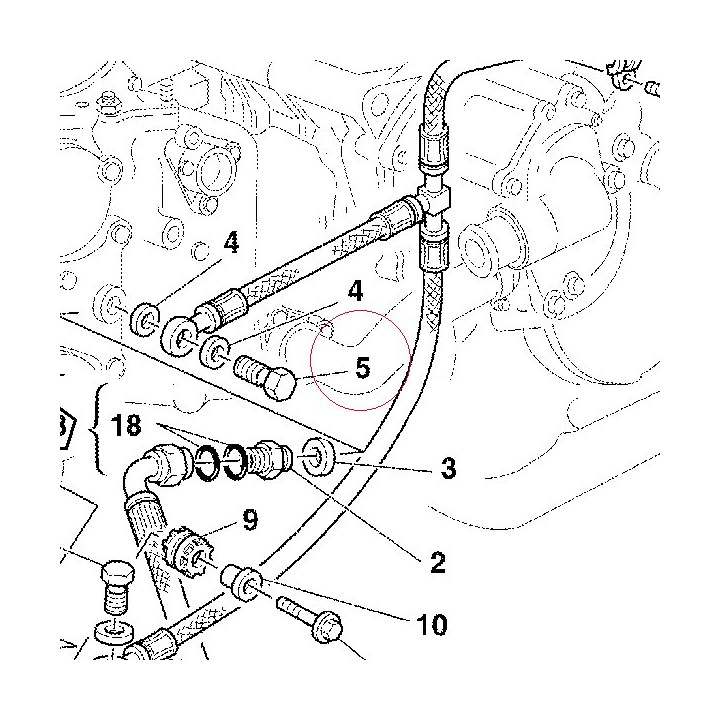 Bolt, brake hose 77911651B