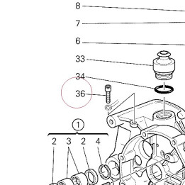 Screw 77911822A