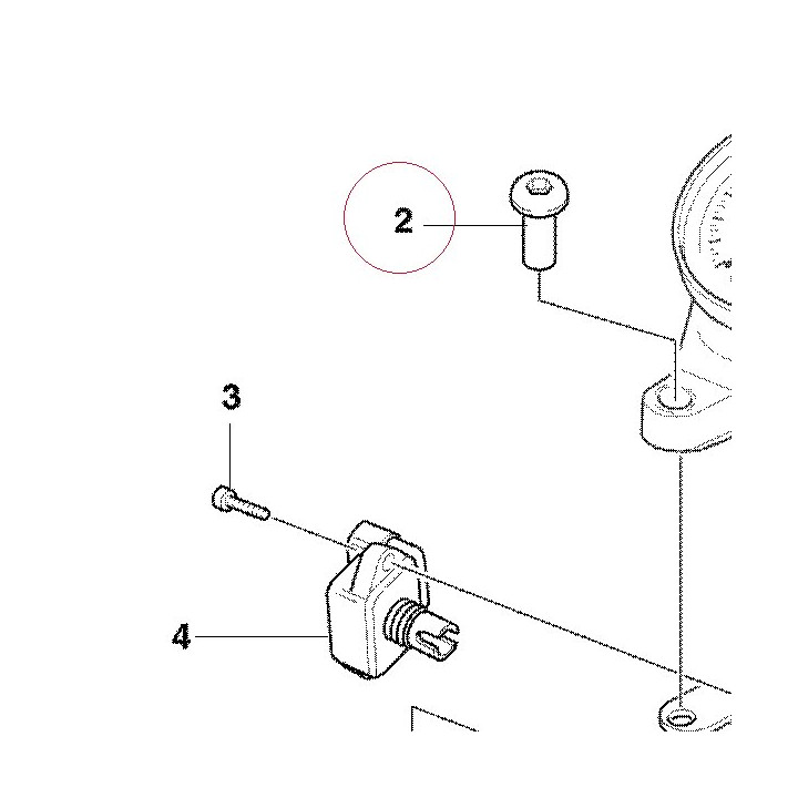 Screw 77912141C